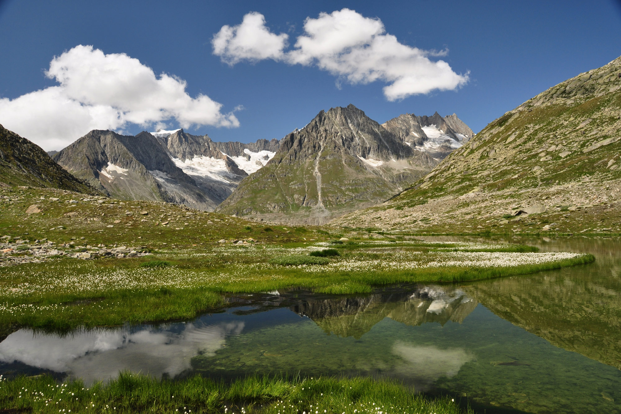 Fiescheralp